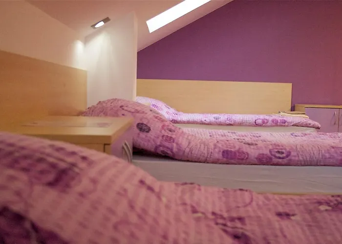 Vandrerhjem Youth Krško